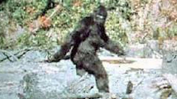 More About Bigfoot