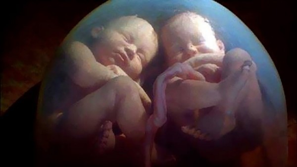 Babies  in Womb