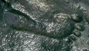 The Ancient Footprint