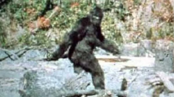 An Interview with Bigfoot, Part One